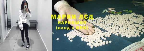 spice Ладушкин