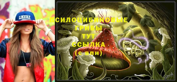 твердый Абинск